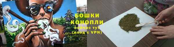 сатива Абдулино