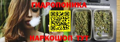 гидропоника Краснокаменск