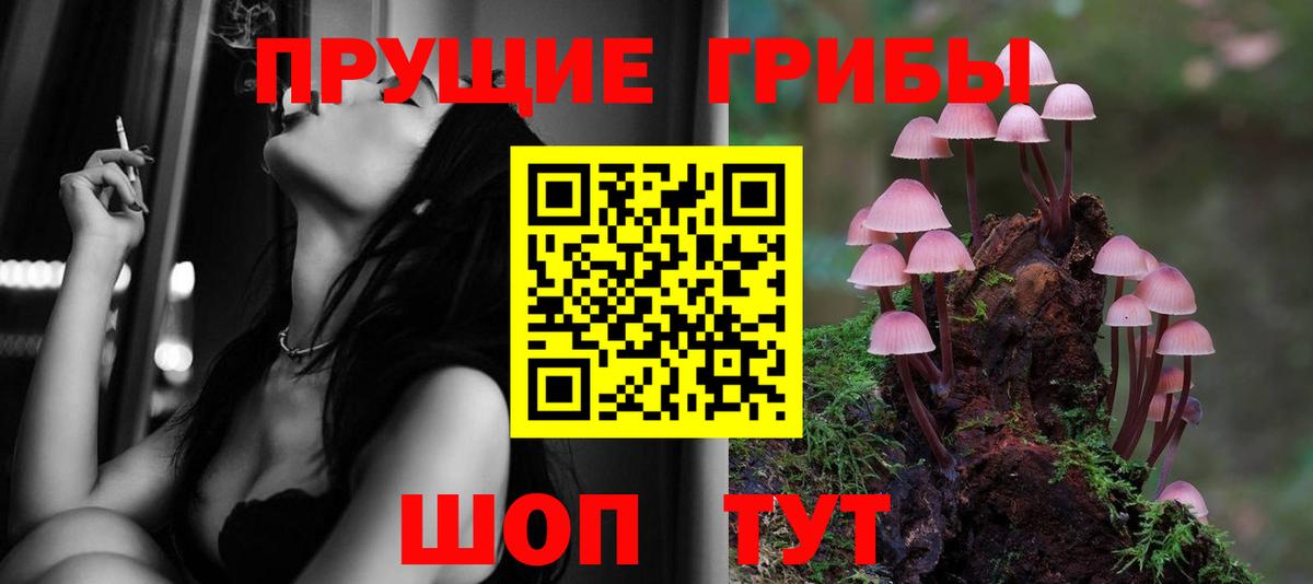 дарнет шоп  Вход с VPN  Донской  Галлюциногенные грибы мицелий 