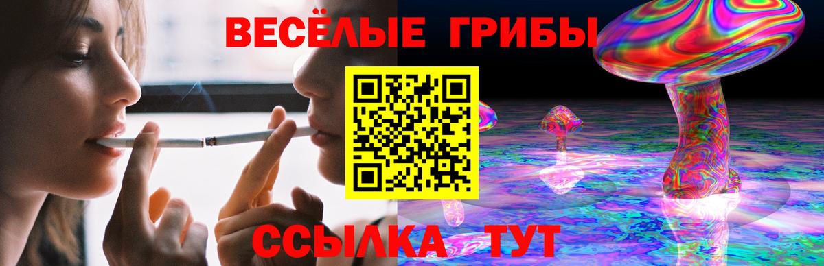 Псилоцибиновые грибы Psilocybine cubensis Донской