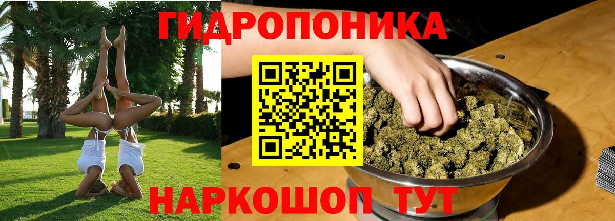 Бошки марихуана OG Kush  Бошки Шишки сатива  Донской  Вход с VPN 